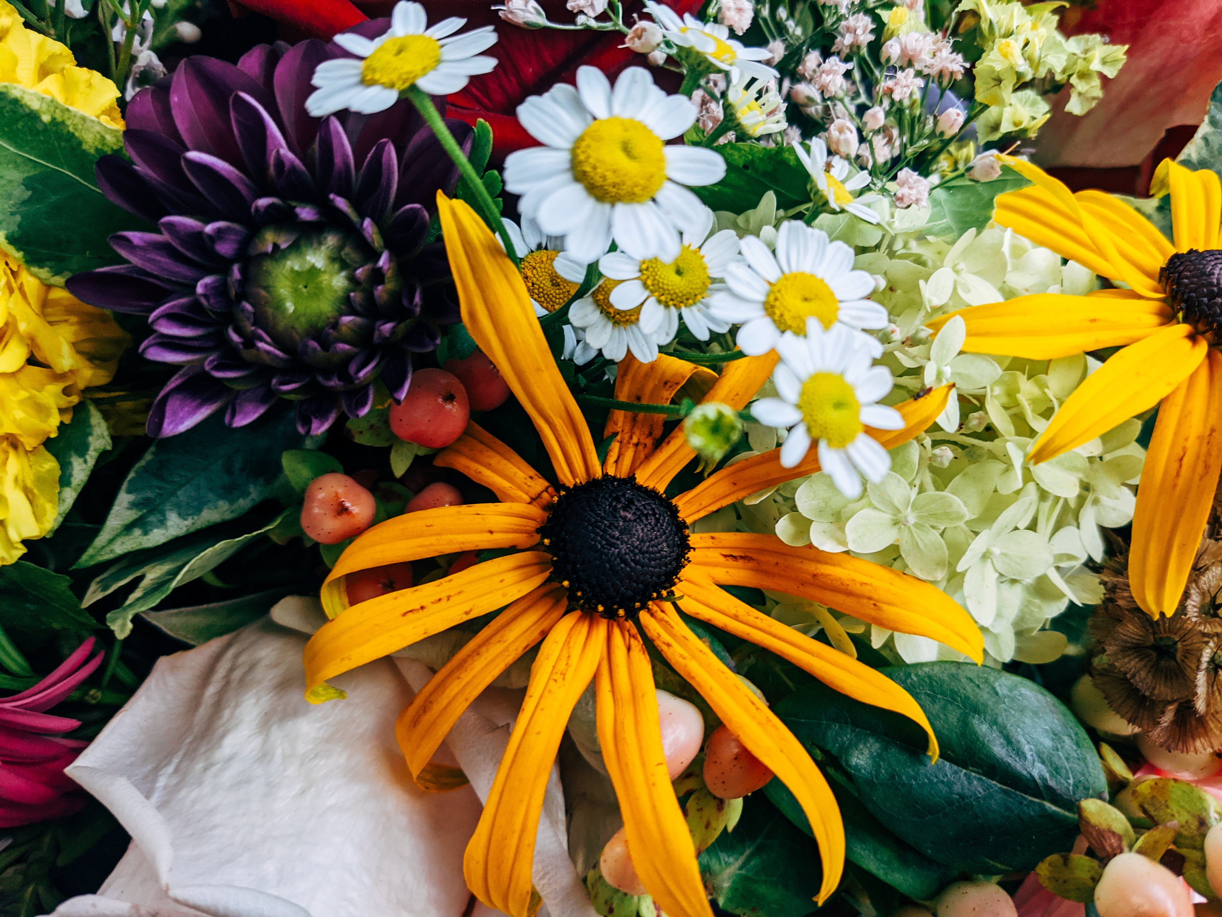 17+ Large Flowers With A Mild Scent Flower Power! – Tagged "Athena"– Magnolia Scents by Design