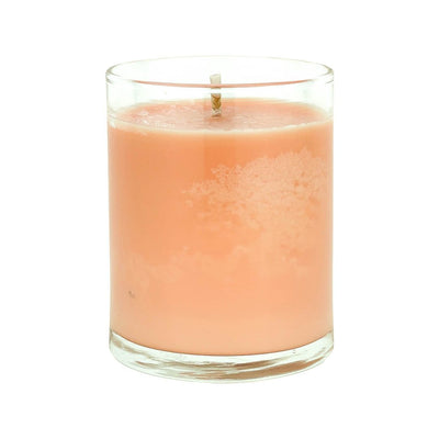 Main Squeeze 2.5oz Soy Candle in Glass